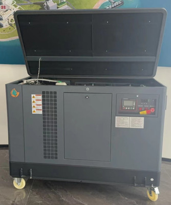 Gerador de gás natural LPG de 10 kW 15 kW 20 kW certificado pela EPA com arranque automático elétrico de 120V/220V