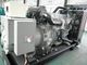 Molhe o ajuste diesel de refrigeração do automóvel do gerador 200kva de 1106A-70TAG4 Perkins